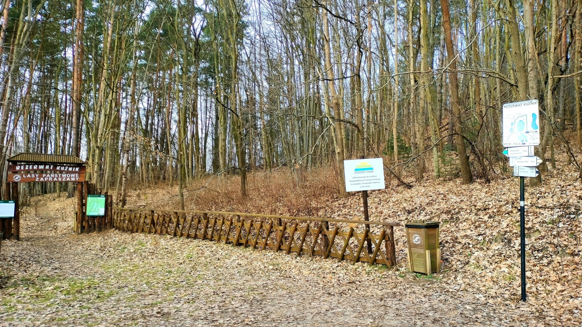 rezerwat nietoperze, Stary Browar, Piła