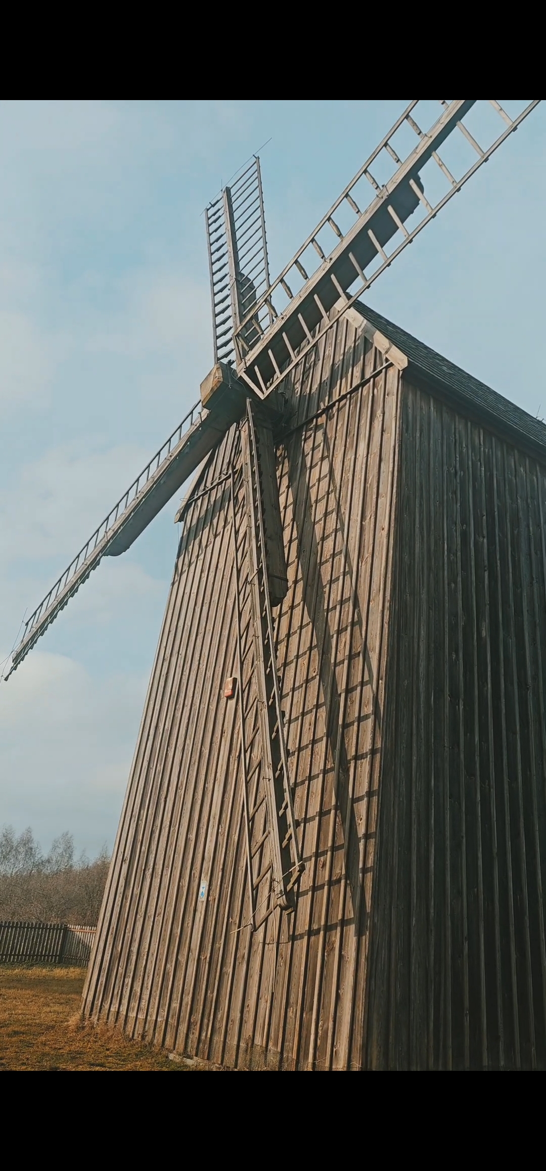 Wiatrak koźlak Kocilew