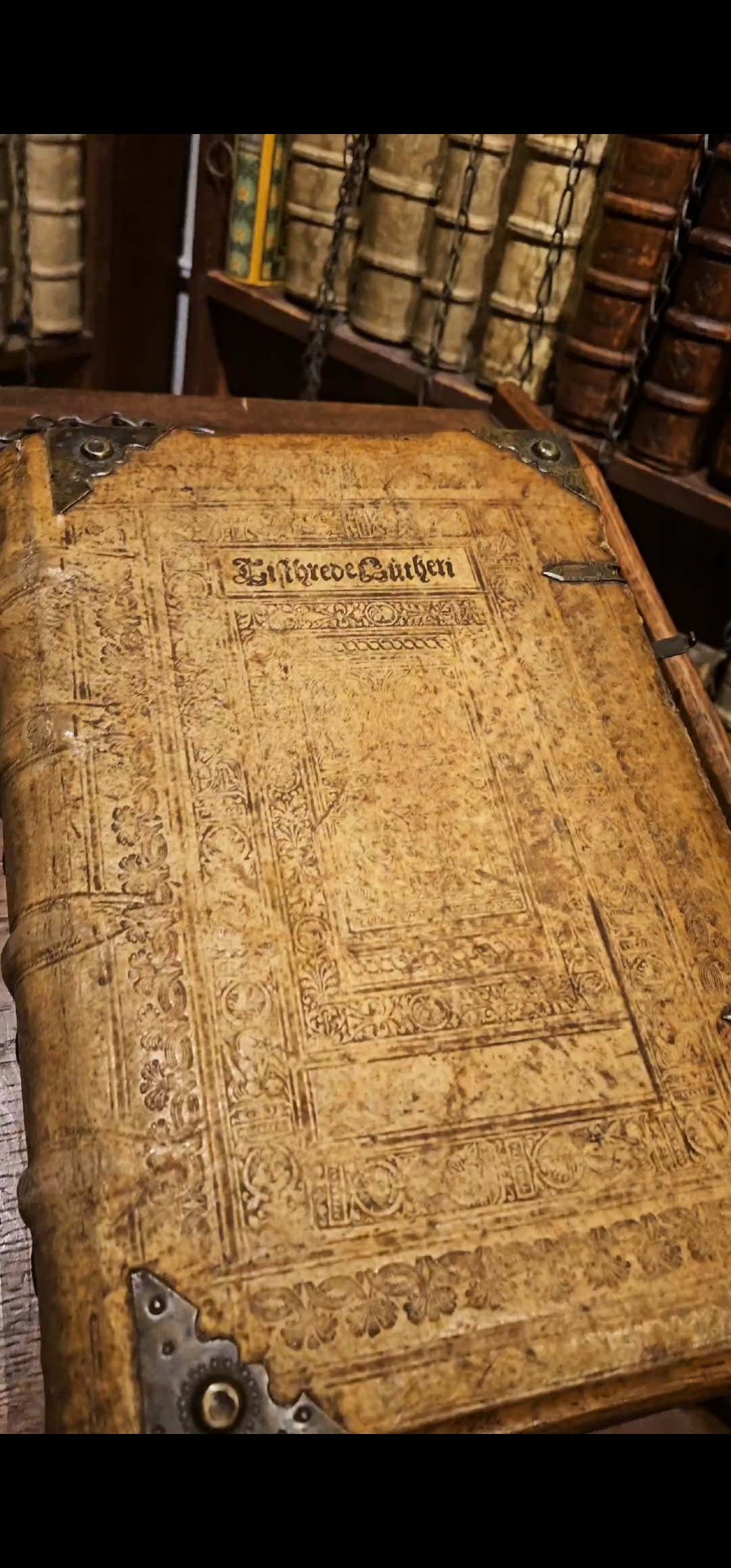 Bazylika św. Jana Apostoła w Oleśnicy