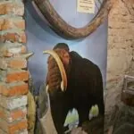 Muzeum Regionalne w Pilźnie